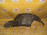 Подкрылок TOYOTA Hiace Granvia VCH10 перед, прав Дефект 53875-26010
