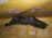 Подкрылок Daihatsu Terios/Terios Kid J100 перед, лев 53876-87401