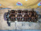 Головка блока Honda D17/D15B Civic/Stream НЕ VTEC