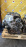 Двигатель Honda K20A-6041949 БЕЗ КОНДЕРА  (155л.с) Accord CL8-1200305