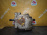 Раздатка Volkswagen CCZD Tiguan 5N2 '2012 2.0L TSI 4WD DSG-7 DQ500 NEZ 0A6409053AH