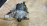 Трамблер Honda D15B/D16A Partner EY7 8 конт. ДЕФЕКТ КРЫШКИ TD-73U / 30100-P2E-A12