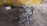 Коса ДВС Honda D16A HR-V GH3-1003695 2WD CVT MENA, трамб. 8 конт. + компьютер 37820-PEL-902 32110-PEL-9010