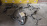 Коса ДВС Toyota 4S-FE ST200-0003017 2WD a/t A140E с приводом спидометра. ПРОБЕГ 14 т.км.  + компьютер 89661-2B730 трамблер 2 конт. 82121-2H830