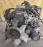 Двигатель Toyota 1G-FE-6361296 2WD a/t Mark II/Chaser/Cresta GX90