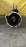 МКПП Nissan KA24 4WD 5 ступ. Datsun/Mistral/Terrano D21 R20