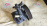 Гидроусилитель Toyota/Lexus 2UZ-FE Land Cruiser#LX470/GX470 UZJ100/UZJ120/UCK35/UCK40 ( алюминиевый + чугунный ) шкив запрессован -06010