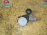 Мотор стеклоподъемника Toyota Corolla ZRE150 перед, прав 6  контактов 85710-35180