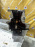 Блок Двигателя Nissan QR25-DE-750405A 4WD CVT X-Trail TNT31