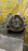 АКПП Toyota 3ZR K111F 4WD CVT без раздатки 8 конт. Noah ZRR75