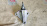 Крепление подушки ДВС Nissan MR20-DD Qashqai J11 2WD CVT на кпп перед, лев ( PS ) 112537379R-B