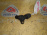 Датчик распредвала Ford CJBB/CJBC Mondeo 3 GE/B4Y/B5Y/BWY '2006 2.0L Duratec He (145PS) 1S7F-12K073-AD