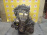 Двигатель Chevrolet Spark LMT/B10D1-215352KC3 1.0L Dohc AT Daewoo Matiz M300 '2010-