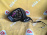 Зеркало Mazda CX-5 KE2AW 8+4 контактов с повтор. RHD лев (Бордовый)