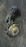Ступица Nissan WPY11 Wingroad SR20 зад, лев 2WD ABS DISK
