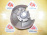 Ступица Mazda CPEW/CP8W Premacy зад, лев 2WD ABS. Дисковые тормоза .Голая без диска и суппорта. G14T261B0.GE7C26271.G14V2615XB.G14V2615XA