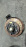 Ступица TOYOTA CR41/KR42 Lite Ace Noah/Town Ace Noah перед, прав 6009 без суппорта