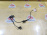 Датчик ABS Toyota Wish/Caldina/Allion/Premio/Avensis ANE10/AZT240/AZT241/AZT255/NZT240/ST246/ZNE10/ZNE14/ZZT240/ZZT245 перед, лев НЕТ ФИШКИ 1AZ-FSE 89543-201