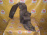 Подкрылок HONDA Orthia/Partner/Civic/Domani EL3/EY8/EK3/MB4 перед, прав 74101-S04-0000