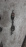 Привод Nissan NU30/N30 Presage/Bassara/R'nessa KA24 перед, лев ABS LSD