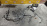 Коса ДВС Nissan QG15 AD VFY11-204077 2WD a/t OLD + комп. C56-Q94 A5JK 2371M-WE11A лямбда зонт на 3 конт. мех. заслонка, без егр. с приводом спид. 2401