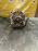 АКПП TOYOTA 2JZ-FSE 3550LS/35000-3F640 2WD 12к БЕЗ КОЛОКОЛА И БУБЛИКА JZS175