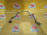 Датчик ABS Ford Focus 3 CB8 R 1847905 '2013