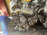 Двигатель Nissan QG18-DE-4260390 SILVER TOP БЕЗ КОНДЕРА И ГЕНЕРАТОРА Bluebird Sylphy '2003-