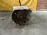 МКПП Toyota 1GFE 2WD 6 СТУПАЯ Altezza/Chaser/Mark II GXE10