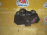Кронштейн опоры двигателя Chevrolet Vortec 4200/LL8 TrailBlazer GMT360/KC 4.2L к раме R 88964338