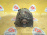 Генератор Volkswagen BKY Polo 9N1/9N3 1.4 16V 14V 110A 0124325056 VAG 036903024D