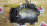 Компрессор кондиционера Honda K20A/K24A Accord CM2/CL7/CL9 диаметр шкива 123-124 мм. RHD JAPAN 38810-RBA-006