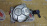 Вакуумный насос Nissan M9R X-Trail T31 с двс 2C1261107 / 14650-00Q1L / 1465000Q0N