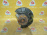 Ступица Volkswagen B6/3C2 Passat BZB перед, лев ABS без суппорта и диска 3C0407257F