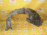 Подкрылок NISSAN Juke YF15 перед, лев Дефект 63843 1KA0A