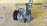 Компрессор кондиционера Toyota 1AZ-FSE Nadia ACN10 ( W404 ) 447220-4201/02  88320-44120
