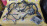 Коса ДВС Nissan MR16-DDT Juke F15-006597 2WD CVT ДЕФЕКТ+ комп ( DEA010-010 E2 / 237101KC2C )+(310361KL0A / ETC61-170N B1) под cvt-3TX0A 24011-1KC1A