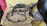 Коса ДВС Toyota 1AZ-FSE Nadia ACN10 2WD a/t A247E ( ДЕФЕКТ ) +компьютер 89661-44310 + 89871-20040 82121-44450
