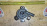 Помпа Toyota 2ZR-FXE Prius ZVW30 Охлаждение инвертора электро G9040-52010