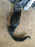 Подкрылок Toyota Corolla Fielder NKE165 перед, лев 53806-12070  53876-12550