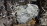 АКПП Nissan MR20DD 31020-70X0D 2WD CVT I-STOP ДЕФЕКТ РАЗЪЁМА Serena C27