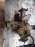 Редуктор SUZUKI TA74W Escudo M16A R Механика  37/8 (4.625) 3door, номер конической пары 27300-65850