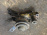Подушка двигателя Toyota 1NZ-FXE Corolla Fielder NKE165 перед, прав