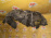 Подкрылок TOYOTA Passo KGC10 перед, лев Дефект 53876-B1010