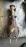 Редуктор Subaru VM4 Levorg F16B R a/t 39/10 (3.9) RY2L
