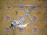 Стеклоподъемник MITSUBISHI Outlander GG2W/GF7W '2012-2022 перед, прав RHD (6 контактов)