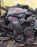 Двигатель Toyota 1NZ-FE-1013002 МЕХ ДРОСЕЛЬ ПРОБЕГ 95т.км. В СБОРЕ Funcargo NCP21-0001636 '2001-
