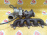 Турбина Ford B5254T6/HYDC Kuga CBV '2012 30757112