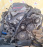 Двигатель Toyota 1ZZ-0579396 без охлаждения Vista Ardeo ZZV50-0027568