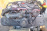 Двигатель Subaru EJ202-B673805 с ЕГР  , В СБОРЕ  ПРОБЕГ 88 Т.КМ Forester/Legacy/Impreza BH5-229576